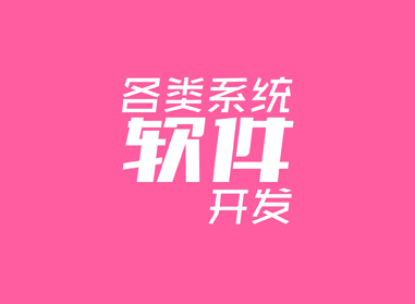 進(jìn)入了解各類(lèi)系統(tǒng)、軟件開(kāi)發(fā)